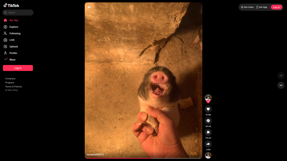 TikTok Seeks Brazilian Licenses for Payments and Credit